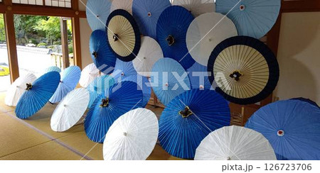 宝徳寺、夏の床もみじと和傘【群馬県・桐生市】 126723706