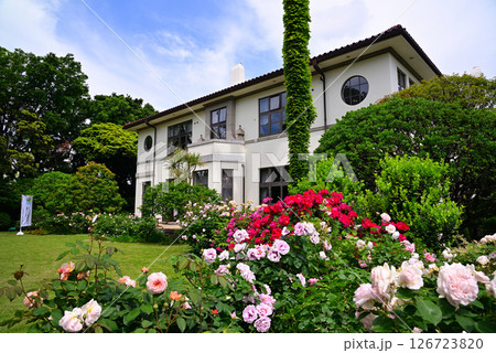 五月のバラ 五月のバラ 126723820