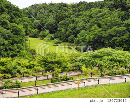 うるいど自然公園(市原市) うるいど自然公園(市原市) 126723913