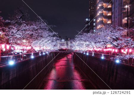 春のライトアップされた桜 126724291
