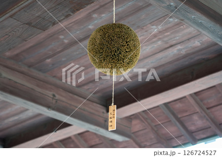 灘五郷の魚崎郷で営む櫻正宗 櫻正宗記念館(櫻宴)長屋門に吊るした杉玉(酒林)大神神社の賜りもの 灘五郷の魚崎郷で営む櫻正宗 櫻正宗記念館(櫻宴)長屋門に吊るした杉玉(酒林)大神神社の賜りもの 126724527