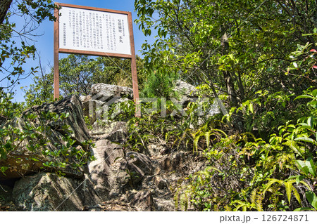 引田城趾本丸址 126724871