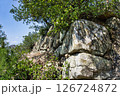 引田城趾本丸址 126724872