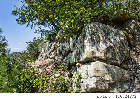 引田城趾本丸址 126724872