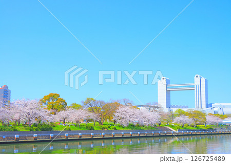 春の愛知県名古屋市、満開の桜と名古屋国際会議場の風景 春の愛知県名古屋市、満開の桜と名古屋国際会議場の風景 126725489