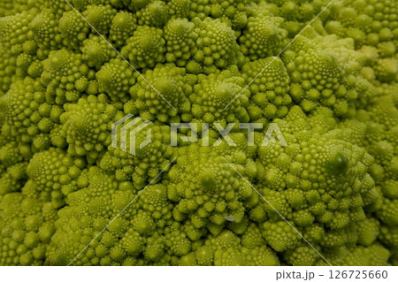 野菜のロマネスコ　接写 126725660