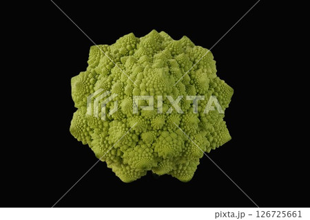 野菜のロマネスコ　真上 126725661