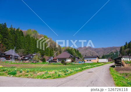 野平ののどかな田舎風景 白馬村 野平ののどかな田舎風景 白馬村 126726118