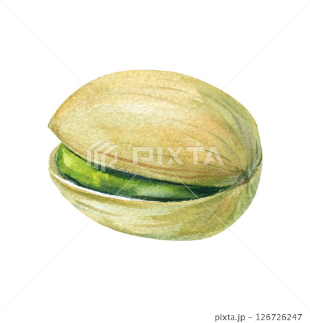 Watercolor pistachio nut in shell, single green pistachio, hand painted realistic food illustration, isolated snack clipart Watercolor pistachio nut in shell, single green pistachio, hand painted realistic food illustration, isolated snack clipart 126726247