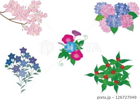 日本の春夏秋冬、季節を表す花のイラスト 126727049