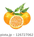 Orange fruit watercolor isolated on white background. Set of healthy food hand-drawn illustration 126727062