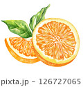 Orange fruit watercolor isolated on white background. Set of healthy food hand-drawn illustration 126727065