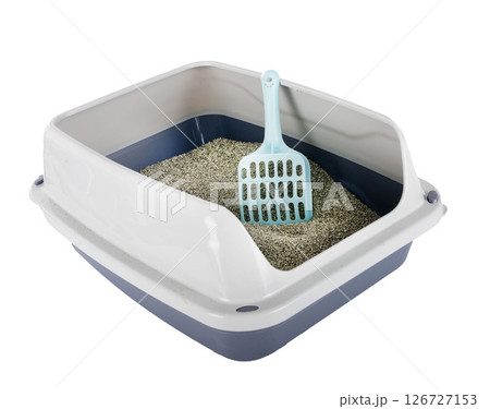litter box in studio litter box in studio 126727153