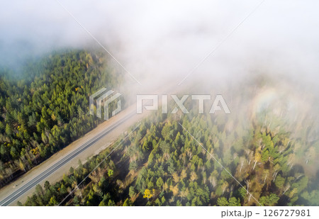 Aerial top down view of a winding road emerges through a dense forest, partially obscured by soft morning mist. 126727981
