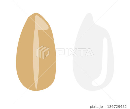 玄米と白米のイラストのセット 126729482