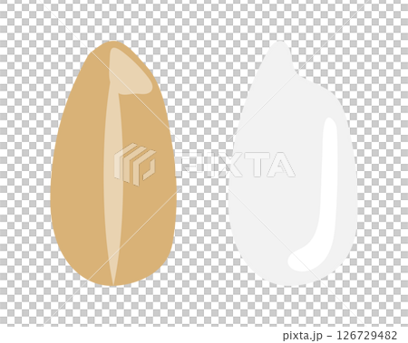 玄米と白米のイラストのセット 126729482