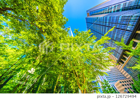 日本の東京都市景観 大手町の森などを望む。新緑に映えるビジネス街…新たな時代に向かって…＝28日 126729494