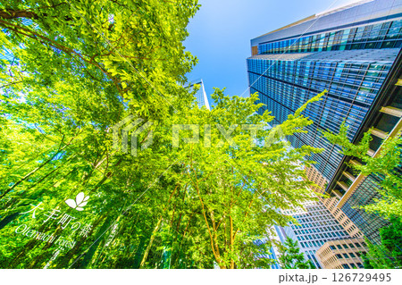 日本の東京都市景観 大手町の森などを望む。新緑に映えるビジネス街…新たな時代に向かって…＝28日 126729495
