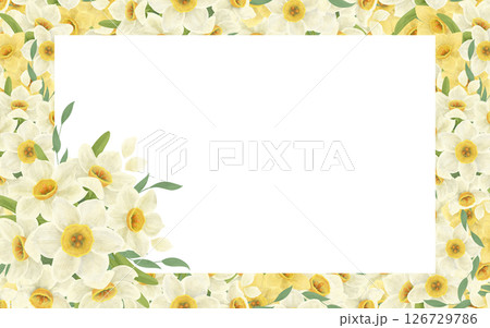 A floral banner frame made from a bouquet of white daffodils, leaves, composition, handmade digital illustration on a white background. An element for the design 126729786