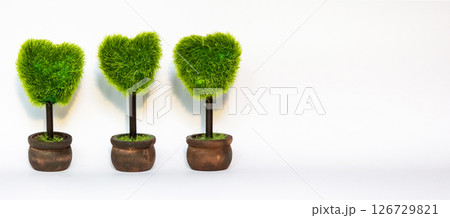 Three green hearts made of potted grass on a white background. A place to copy 126729821