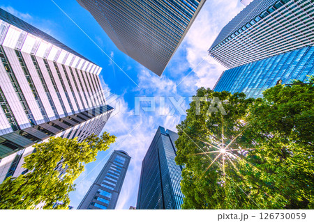 日本の東京都市景観 新緑の大手町。大手町プレイスやアーバンネット大手町ビルなどを望む＝28日 126730059