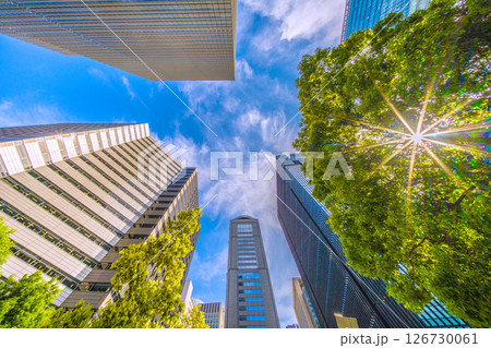 日本の東京都市景観 新緑の大手町。大手町プレイスやアーバンネット大手町ビルなどを望む=28日 日本の東京都市景観 新緑の大手町。大手町プレイスやアーバンネット大手町ビルなどを望む=28日 126730061