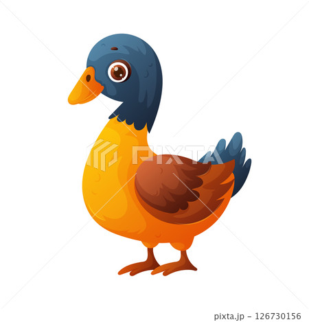 Cartoon Duck Illustration with Blue Head, Orange Body, and Brown Details. Cartoon Duck Illustration with Blue Head, Orange Body, and Brown Details. 126730156