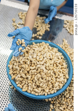 workers sorting cashew nuts at modern industrial agriculture factory in cambodia workers sorting cashew nuts at modern industrial agriculture factory in cambodia 126730159