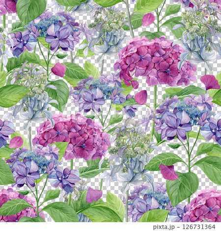 Hydrangea flowers pattern. Watercolor of pink, purple and white flowers and pink petals isolated on a white background. Good for postcards, invitations, greeting cards, wallpaper, textiles 126731364