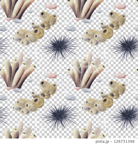 Seamless pattern with sea urchins. Corals and sea sponges on the bottom. Oceanarium. Coral reef. Watercolor illustration without background. Hand drawing. High quality illustration 126731398
