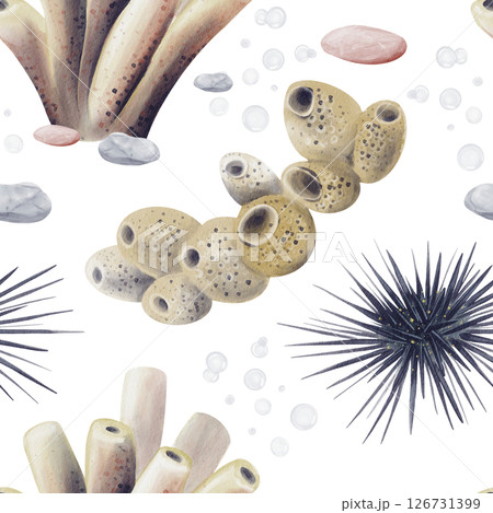 Seamless pattern with sea urchins. Corals and sea sponges on the bottom. Oceanarium. Coral reef. Watercolor illustration without background. Hand drawing. High quality illustration 126731399