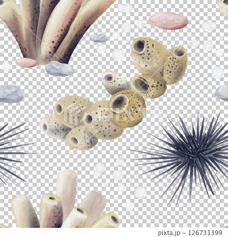 Seamless pattern with sea urchins. Corals and sea sponges on the bottom. Oceanarium. Coral reef. Watercolor illustration without background. Hand drawing. High quality illustration 126731399