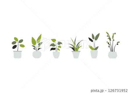 plant in a pot nature garden decoration houseplant green tropical leaf flower. vector collection vegetation foliage leaves botanical design potted interior home. isolated natural botany decor. 126731952