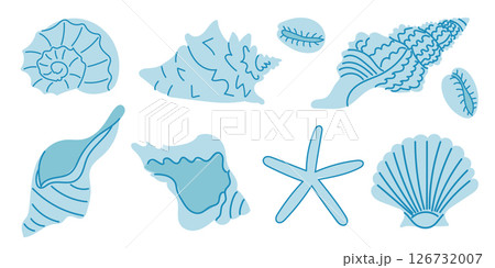 A Beautiful Collection Featuring Exquisite Illustrations of Shells and Starfish Art 126732007