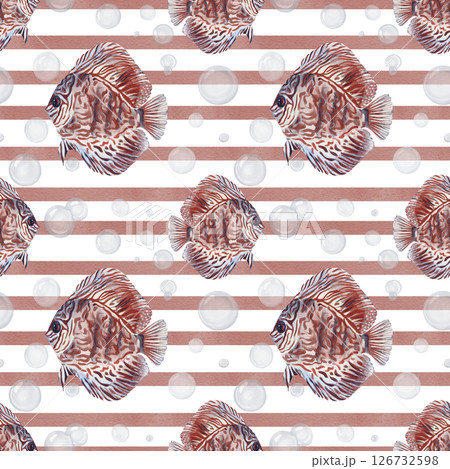 Seamless pattern with discus fish. Red tropical fish with pattern. Simple geometric pattern with red stripes. Transparent bubbles. Watercolor illustration without it. Hand drawing. Seamless pattern with discus fish. Red tropical fish with pattern. Simple geometric pattern with red stripes. Transparent bubbles. Watercolor illustration without it. Hand drawing. 126732598