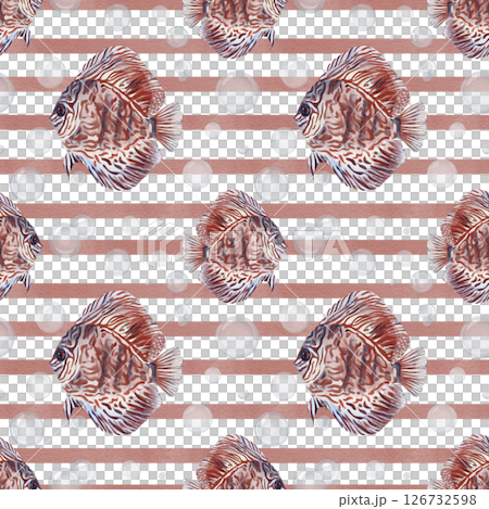 Seamless pattern with discus fish. Red tropical fish with pattern. Simple geometric pattern with red stripes. Transparent bubbles. Watercolor illustration without it. Hand drawing. Seamless pattern with discus fish. Red tropical fish with pattern. Simple geometric pattern with red stripes. Transparent bubbles. Watercolor illustration without it. Hand drawing. 126732598
