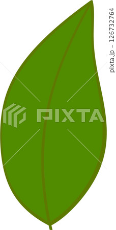 Beautiful shape and green colors tone of fresh plant leaves. 126732764