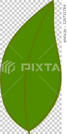 Beautiful shape and green colors tone of fresh plant leaves. 126732764
