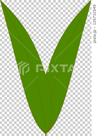 Beautiful shape and green colors tone of fresh plant leaves. Beautiful shape and green colors tone of fresh plant leaves. 126732849