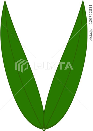 Beautiful shape and green colors tone of fresh plant leaves. 126732851