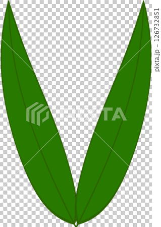 Beautiful shape and green colors tone of fresh plant leaves. 126732851