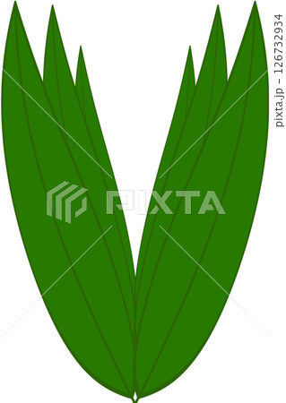 Beautiful shape and green colors tone of fresh plant leaves. 126732934