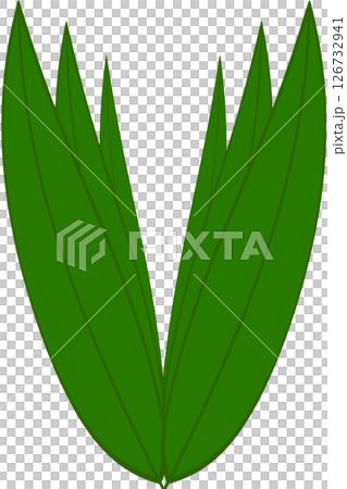 Beautiful shape and green colors tone of fresh plant leaves. 126732941