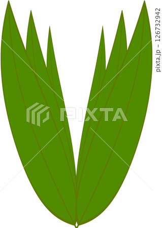 Beautiful shape and green colors tone of fresh plant leaves. 126732942