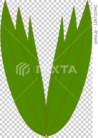 Beautiful shape and green colors tone of fresh plant leaves. 126732942