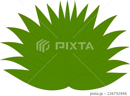 Beautiful shape and green colors tone of fresh plant leaves. 126732948