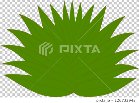 Beautiful shape and green colors tone of fresh plant leaves. 126732948