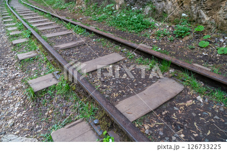 Railroad Tracks, Forest, Peru - Narrow Gauge Rails for Train Transportation in Lush Green Landscape Railroad Tracks, Forest, Peru - Narrow Gauge Rails for Train Transportation in Lush Green Landscape 126733225