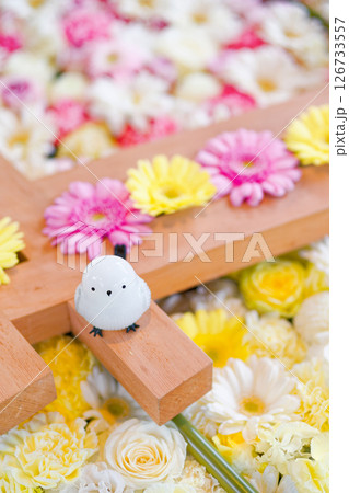 花手水とシマエナガの置物 花手水とシマエナガの置物 126733557