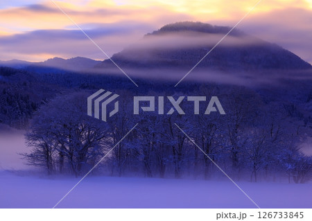 朝陽に染まる樹氷と川霧 126733845